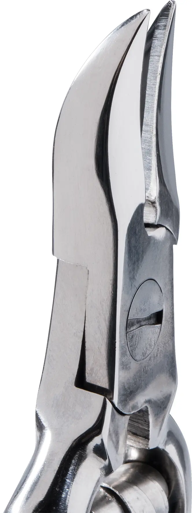 erbe-solingen-nagelzange-vernickelt-mit-pufferfeder-14-cm-detailansicht-zange