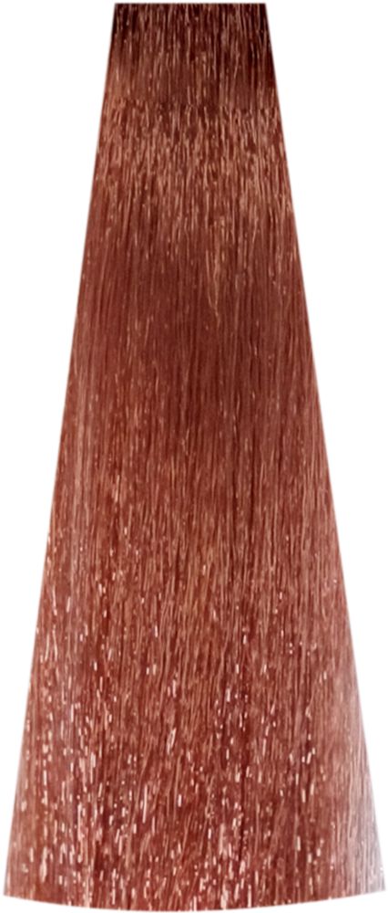 Inebrya Demi 100 ml (Intensivtönung)
