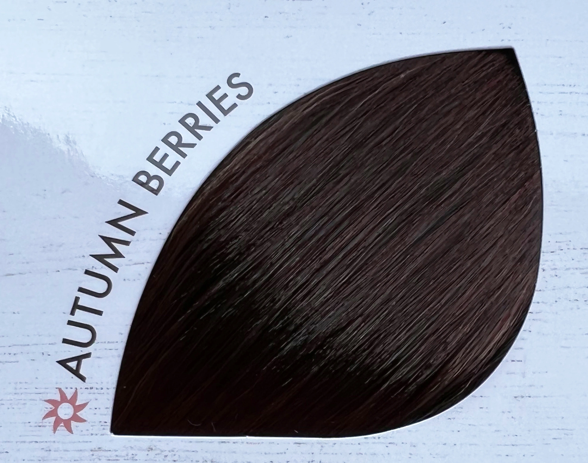 Autumn Berries