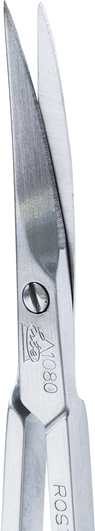 erbe-solingen-hautschere-rostfrei-und-gebogen-9-2-cm-detailansicht-spitze