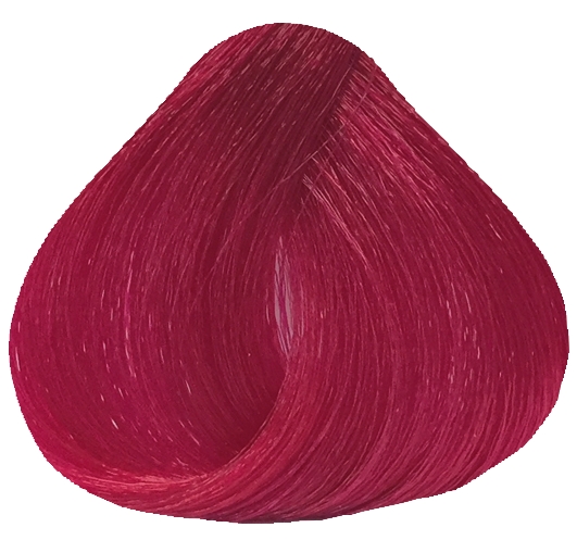 tulip red