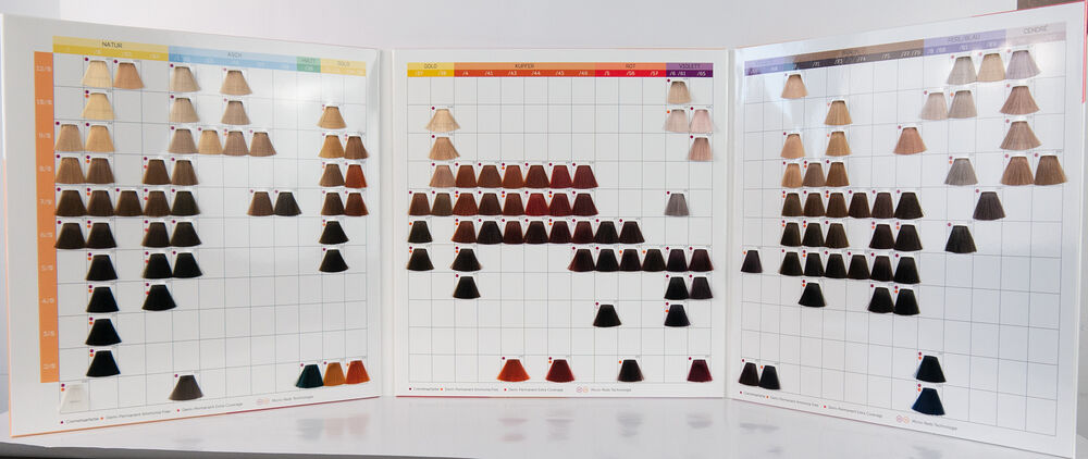11600656-londa-color-chart-farbkarte-innenansicht-mit-haarfarben-und-farbtoenen