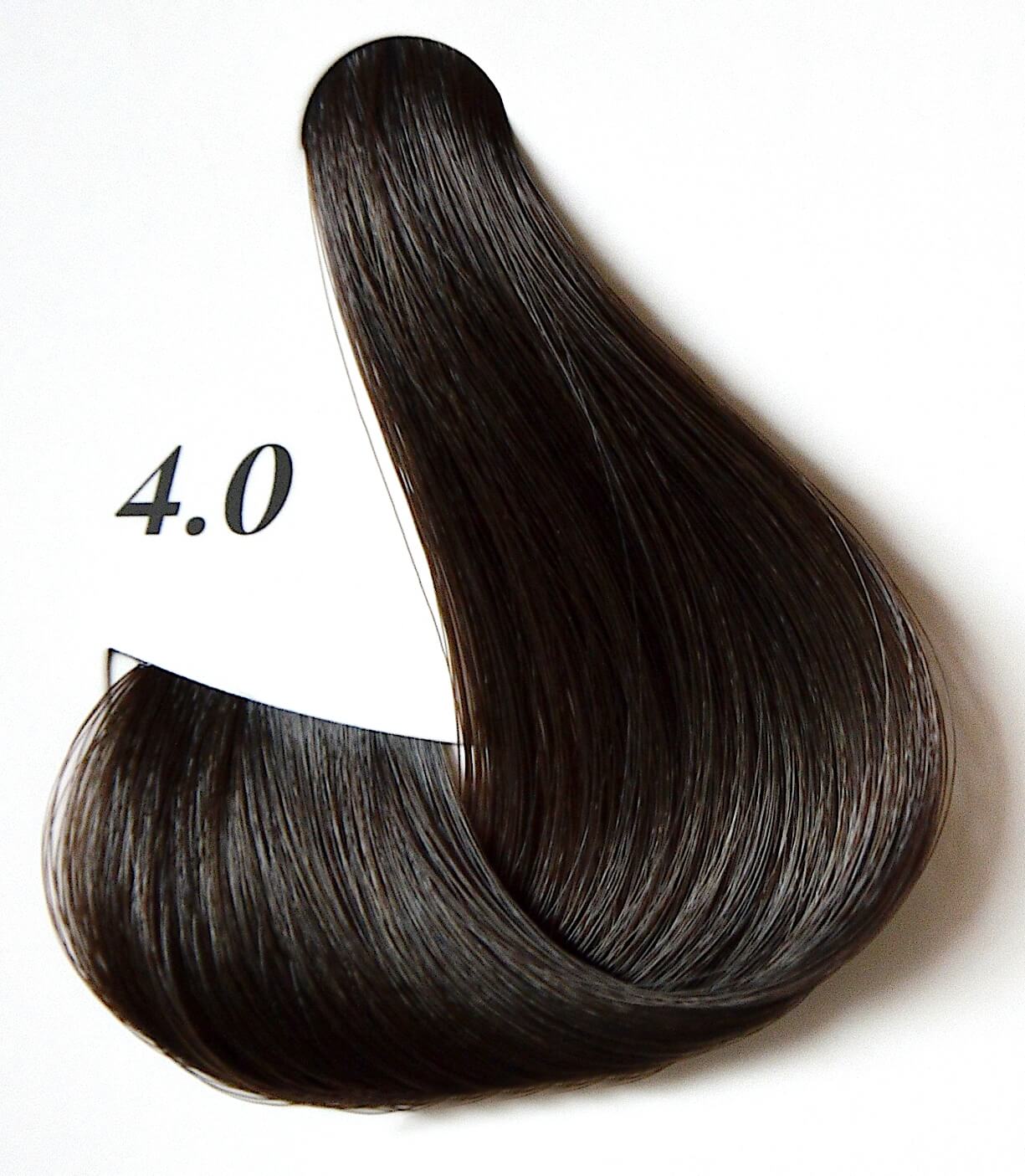 chestnut