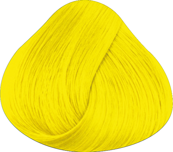 18 Bright Daffodil