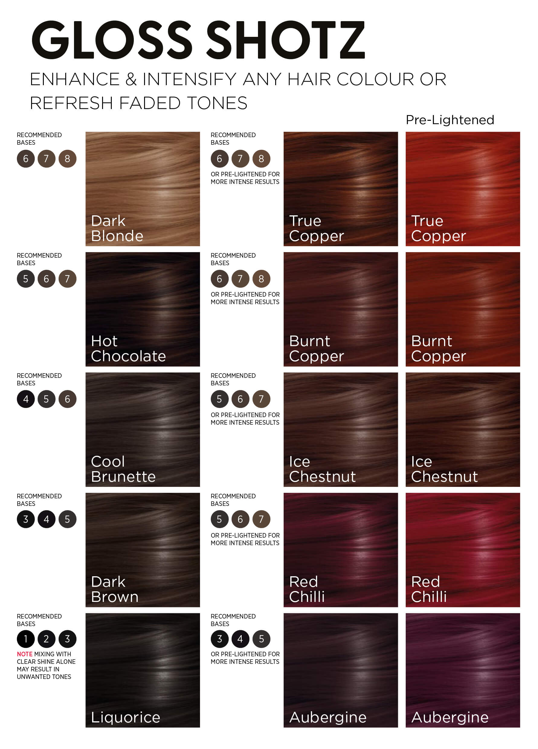 A.S.P Gloss & Glaze Intro Kit