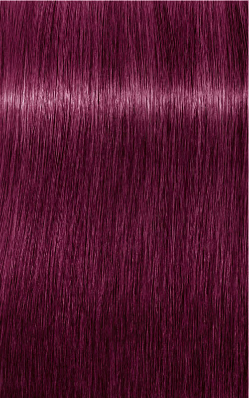 rot violett Konzentrat
