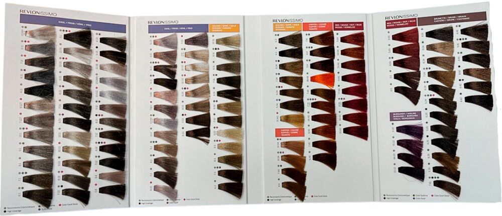 Revlonissimo Farbkarte mit Meschen