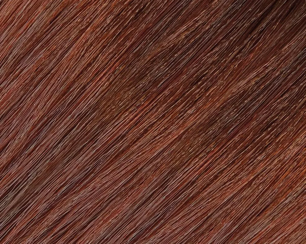Paprika