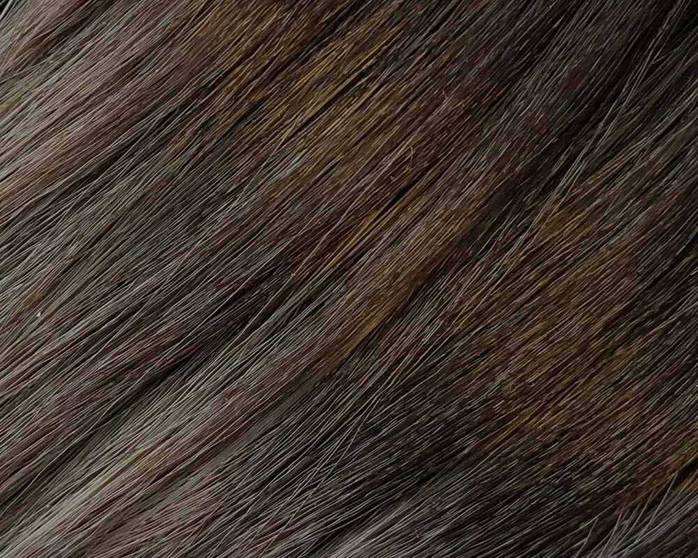 Dark Cinnamon