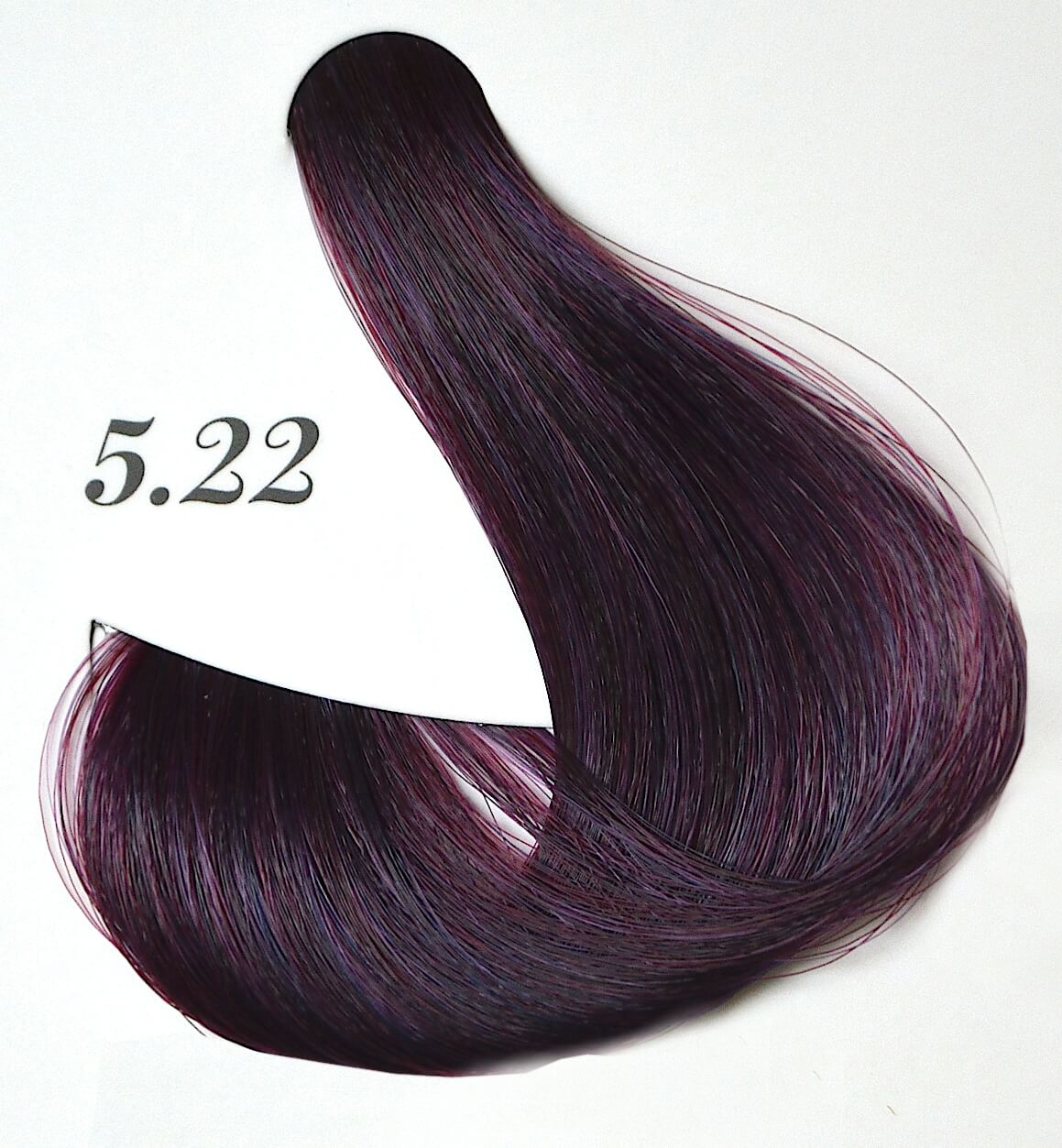 light intense violet chestnut