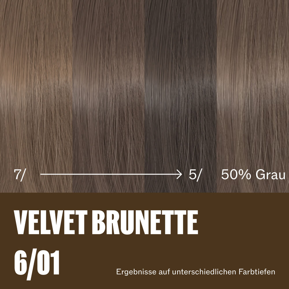 velvet brunette