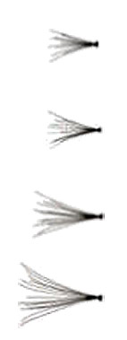 Everlash-Wimpern-Büschel-schwarz-Stopperka