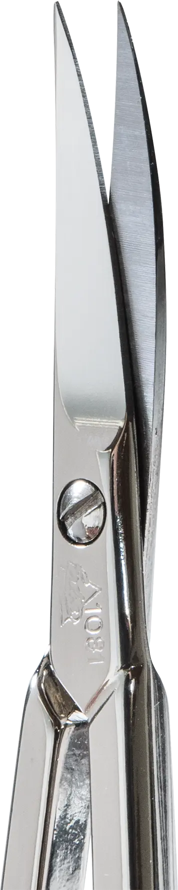 erbe-solingen-hautschere-vernickelt-und-gebogen-9-cm-detailansicht-spitze