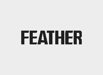 feather-rasiermesser-und-klingen-markenlogo